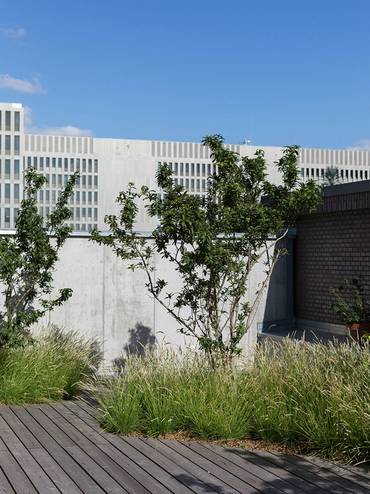 ampankepark_dach_02_kw