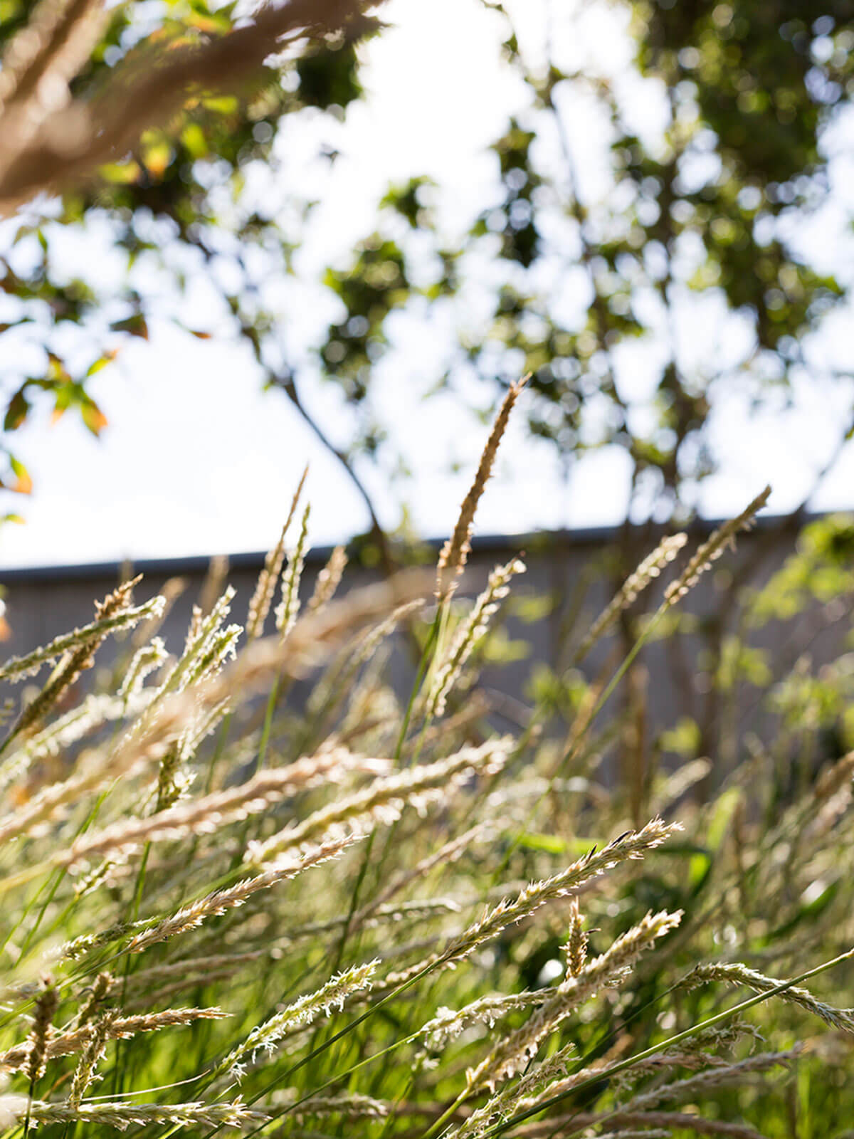 ampankepark_dach_03_kw